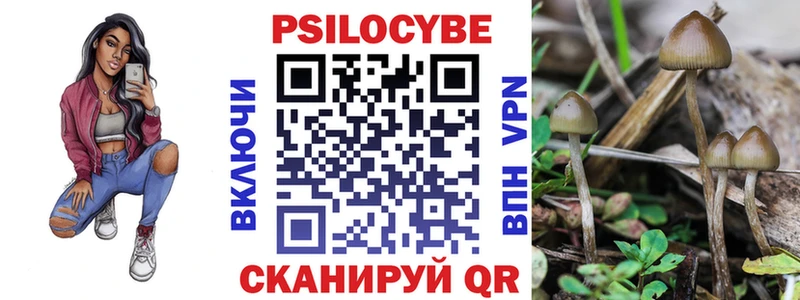 Галлюциногенные грибы Psilocybe  закладка  MEGA сайт  Черногорск 