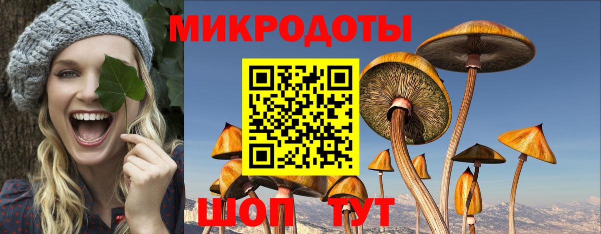 Галлюциногенные грибы MAGIC MUSHROOMS  Псилоцибиновые грибы Psilocybe  закладки  Черногорск  Вход с VPN 