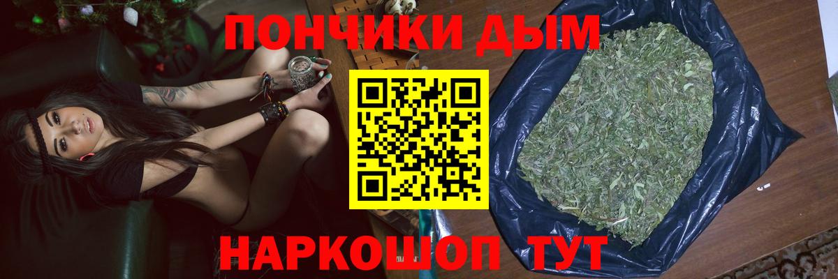 Шишки марихуана конопля Черногорск